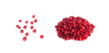 Donmuş Lingonberry İzole edilmiş, Dağılmış Buzlu Cowberry, Kar Yabanmersini, Kırmızı Viburum Böğürtlenleri, Donmuş Lingonberry Beyaz Arkaplan Üst Görünümünde