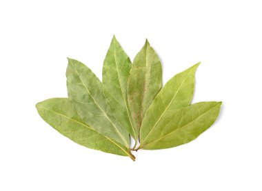 Kuru Koyun Yaprakları, Laurel Yaprağı, Doğal Baharatlı Bayrak, Kokulu Malzeme, Aromatik Baharat, Kuru Koyun Yaprakları Beyaz Arkaplanda İzole Edilmiş