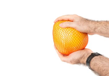 Pomelo Fruit in Hand White, Big Yellow Grapefruit, Health Diet Pummelo, All ole Pomelo on White Background, Clipping Path