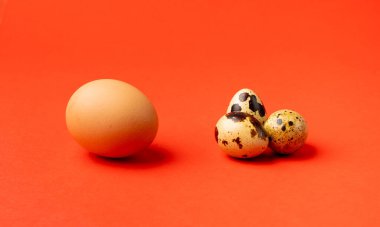 Bıldırcın ve Tavuk Yumurta Karşılaştırması, Büyük ve Küçük Yumurta Grubu, Sağlıklı Kahvaltı, Doğal Organik Beslenme, Kırmızı Arkaplanda Salata İçi Benekli Bıldırcın Yumurtası Boyutu