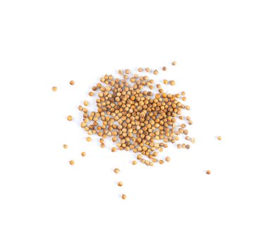 Kişniş tohumları yalıtılmış, Cilantro tohumları, Çin Maydanoz Tohumu Grubu, Kuru Baharatlar, Mevsimler, Kişniş Herb Tohumları Beyaz Arkaplan Üst Görünümünde