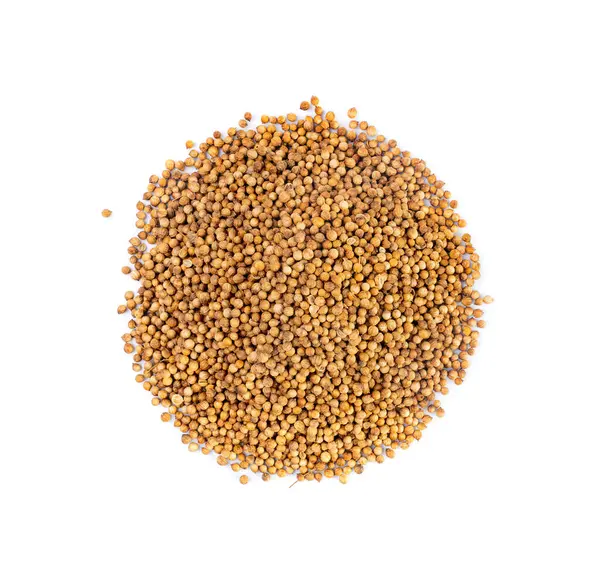 Kişniş tohumları yalıtılmış, Cilantro tohumları, Çin Maydanoz Tohumu Grubu, Kuru Baharatlar, Mevsimler, Kişniş Herb Tohumları Beyaz Arkaplan Üst Görünümünde