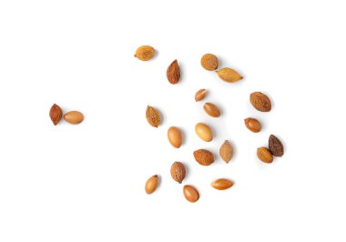 Argan Fındıkları İzole Edilmiş, Doğal Organik Kozmetik için Argania Yağ Tohumları, Cilt Argan Meyveleri, Fas İlaç ve Gıda Yağı Fabrikası, Beyaz Arkaplan