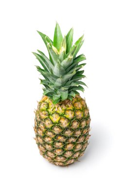 Tüm Ananas, Büyük Ananas, Comosus Tropikal Meyve, Olgun Çam Elması, Beyaz Arkaplanda Ananas