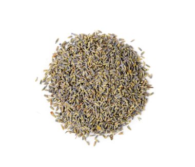 Kuru lavanta çiçekleri izole, dağınık lavanta parfüm tomurcukları, taç yaprakları, mis kokulu leylak çiçekleri, menekşe tohumları, beyaz arka planda küçük kurumuş mor çiçekler, kopyalama alanı