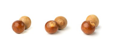 Hass Avokado Taşları İzole Edildi, Hass Avokado Çekirdek Kapanışı, Timsah Armut Çekirdekleri, Persea Americana Çukurları, Avokado Meyve Tohumları Beyaz Arkaplanda