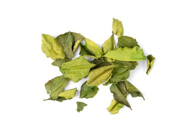 Tayland kireç kuru yaprakları izole edilmiş, kireç, kireç veya histriks yaprak yığını, kaffir limon kuru lahanası, Güneydoğu Asya baharatları, beyaz arka planda Tom yer elması çorbası malzemesi.
