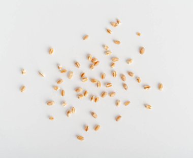 İzole Buğday Taneleri, Dağılmış Arpa, Ekmek İçin Kuru Gevrek Tohumları, Spelta Sağlıklı Organik Gıda, Beyaz Arkaplan Üst Görüş Üzerine Buğday Yığını