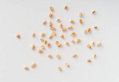 İzole Buğday Taneleri, Dağılmış Arpa, Ekmek İçin Kuru Gevrek Tohumları, Spelta Sağlıklı Organik Gıda, Beyaz Arkaplan Üst Görüş Üzerine Buğday Yığını