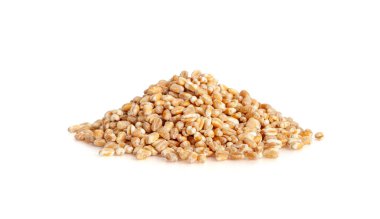 İzole edilmiş buğday taneleri, Arpa Yığını, Ekmek İçin Kuru Gevrek Tohumları, Spelta Sağlıklı Organik Gıda, Beyaz Arkaplanda Buğday Taneleri Yığını