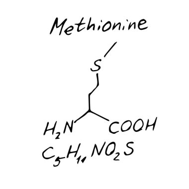 Methionine C5H11NO2S molekül formülü. Elle çizilmiş metiyonin yapısal modeli, kimyasal iskelet formülü, yarım yamalak vektör sembolü.