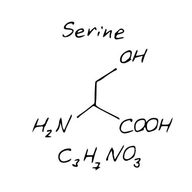 Serin C3H7NO3 molekül formülü. Serin yapısal modelin el çizimi taklidi, kimyasal iskelet formülü, kabataslak vektör sembolü