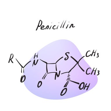 Penisilin (C16H18N2O4S) molekül formülü. El çizimi taklit, yapısal model, penisilin kimya iskelet formülü, kabataslak vektör simgesi