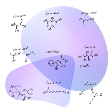 El çizimi kimya formülü. Taslak molekül formülleri, farklı kimyasal iskelet yapısal modeller koleksiyonu, vektör illüstrasyonu