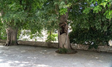 Budva, Karadağ, 19 Haziran 2024 Budva turizm sezonu, turistler sokaklarda, plajlarda, sıcakta, yaz tatillerinde Budva Riviera günlük yaşamında, editör imajında