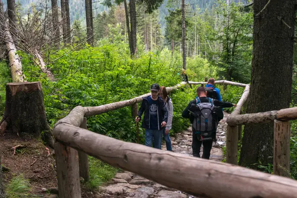 Zakopane, Polonya, 13 Ağustos 2022 Morskie Oko Yolu, dağ yolunda turistler, yazın Tatra Ulusal Parkı, editoryal görüntü