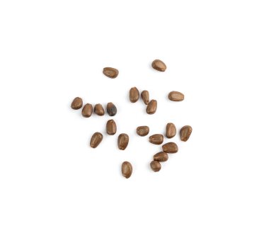 Cherimoya tohumları izole, Annona Cherimola çukurları, chirimoya taşları, nörotoksin içeren zehirli chirimuya meyveleri, beyaz arka planda taş çekirdek çukurları