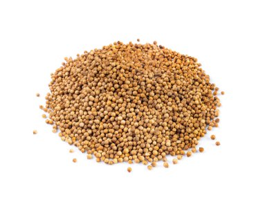 Kişniş tohumları yalıtılmış, Cilantro tohumları, Çin maydanoz tohumu grubu, kuru baharatlar, baharatlar, baharatlar, beyaz arka planda kişniş otu tohumları.