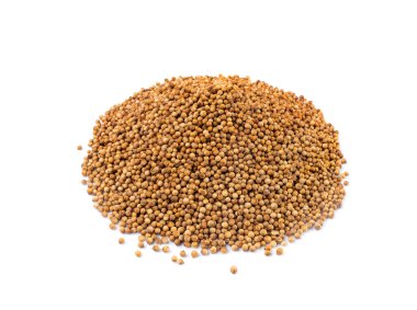 Kişniş tohumları yalıtılmış, Cilantro tohumları, Çin maydanoz tohumu grubu, kuru baharatlar, baharatlar, baharatlar, beyaz arka planda kişniş otu tohumları.