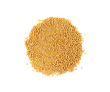 Mustard seeds isolated, dry yellow sinapis alba grains, mostarde balls on white background top view clipart