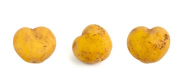 Patates kalp, eşsiz kalp şeklinde patates, alışılmadık sebze, tatlı vejetaryen sevgililer günü patatesi, nadir bulunan bir bulgu, çirkin komik patates, sebze aşk sembolü.