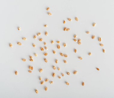 İzole Buğday Taneleri, Dağılmış Arpa, Ekmek İçin Kuru Gevrek Tohumları, Spelta Sağlıklı Organik Gıda, Beyaz Arkaplan Üst Görüş Üzerine Buğday Yığını