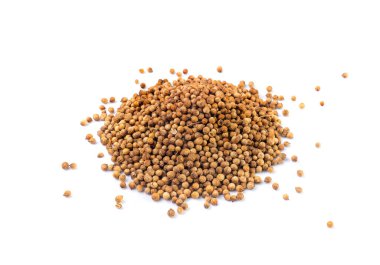 Kişniş tohumları yalıtılmış, Cilantro tohumları, Çin maydanoz tohumu grubu, kuru baharatlar, baharatlar, baharatlar, beyaz arka planda kişniş otu tohumları.