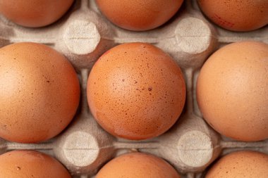 Yumurta Tepsisi Üst Görünümü, Kahverengi Yumurtalar Kapalı Paket, Taze Organik Yumurta Kutuda Makro