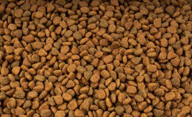 Kuru evcil hayvan yemek dokusu arka plan, köpek maması deseni, köpek maması afişi, köpek proteini kroket yemek modeli, hayvan maması tanecikleri kopyalama alanı ile taklit ediliyor.