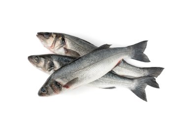 Avrupa deniz kabuğu ya da Dicentrarchus labrax izole edilmiş, tamamen çiğ labrax, taze levrek, üç yaygın levrek balığı, beyaz levrek, beyaz kefal, deniz kestanesi, beyaz arka planda loup de mer yemeği