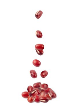 Kırmızı adzuki fasulyesi, çiğ uçan aduki fasulyesi, Vigna angularis legume tohumu havalanır, düşen küçük kuru azuki, kırmızı mung fasulyesi taneleri, Japon tatlı malzemeleri, vektör illüstrasyonu