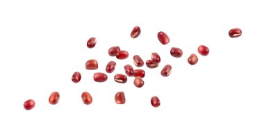 Kırmızı adzuki fasulyesi, çiğ uçan aduki fasulyesi, Vigna angularis legume tohumu havalanır, düşen küçük kuru azuki, kırmızı mung fasulyesi taneleri, Japon tatlı malzemeleri, vektör illüstrasyonu