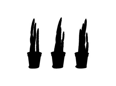 Kaktüs ikonu, sulu simge, bitki teraryum işareti basit işaret, ofis masası örtüsü siluetleri, siyah beyaz arkaplan vektör illüstrasyonunda siyah beyaz kaktüs masa kapları piktogram