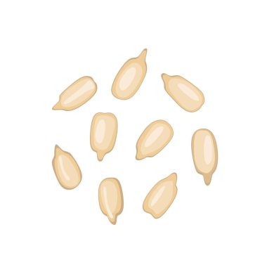 Ayçiçeği çekirdekleri izole, soyulmuş güneş çiçeği çekirdekleri vektör simgesi. Gerçekçi güneş çiçeği yağı tohumları, kabuksuz taneler beyaz arka planda.