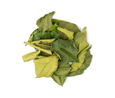 Tayland kireç kuru yaprakları izole edilmiş, kireç, kireç veya histriks yaprak yığını, kaffir limon kuru lahanası, Güneydoğu Asya baharatları, beyaz arka planda Tom yer elması çorbası malzemesi.