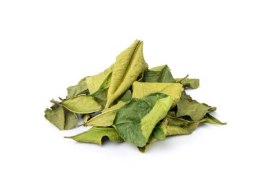 Tayland kireç kuru yaprakları izole edilmiş, kireç, kireç veya histriks yaprak yığını, kaffir limon kuru lahanası, Güneydoğu Asya baharatları, beyaz arka planda Tom yer elması çorbası malzemesi.