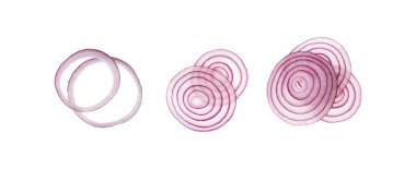 Taze kesilmiş kırmızı soğan izole edilmiş. Beyaz arkaplan görünümünde ham mor soğan halkaları seti veya arpacık dilimleri koleksiyonu