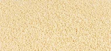 Susam tohumları dokusu arka plan, beyaz küçük benne tanecikleri deseni, metin için metin alanı ile Susam indium indicum meyve pankartı