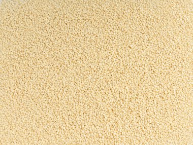 Susam tohumları dokusu arka plan, beyaz küçük benne tanecikleri deseni, metin için metin alanı ile Susam indium indicum meyve pankartı