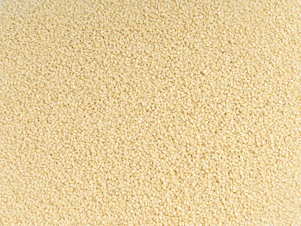 Susam tohumları dokusu arka plan, beyaz küçük benne tanecikleri deseni, metin için metin alanı ile Susam indium indicum meyve pankartı