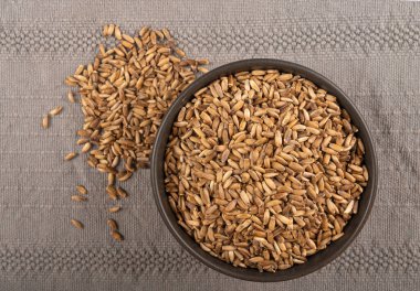 Süt tohumu yığını, silybum marianum tanecikleri, kuru mübarek süt devedikeni meyveleri, gri arka planda çeşitli devedikeni çekirdekleri, siyah kase, doğal organik şifalı bitkiler.