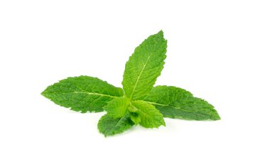 Nane yaprakları izole. Nane yaprağı seti, yeşil taze nane, naneli mentollü bitki, yakın plan, beyaz arka planda doğal mentha yaprağı.