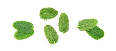 Nane yaprakları izole. Nane yaprağı seti, yeşil taze nane, naneli mentollü bitki, yakın plan, beyaz arka plan görünümlü doğal mentha yaprağı.