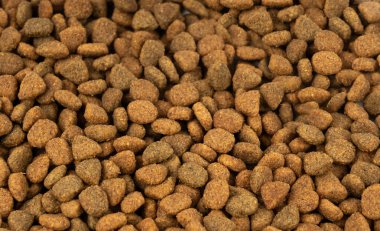 Kuru evcil hayvan yemek dokusu arka plan, köpek maması deseni, köpek maması afişi, köpek proteini kroket yemek modeli, hayvan maması tanecikleri kopyalama alanı ile taklit ediliyor.
