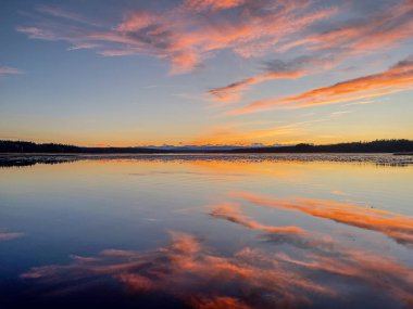 Pembe ve turuncu renkli canlı bir günbatımı gökyüzü ufuktaki uzak ağaçlar tarafından çerçevelenmiş bir gölün sakin yüzeyine yansıyor..