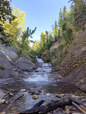 Şelale, orman ağaçları ve açık mavi gökyüzü olan kayalık bir kanyondan akar..