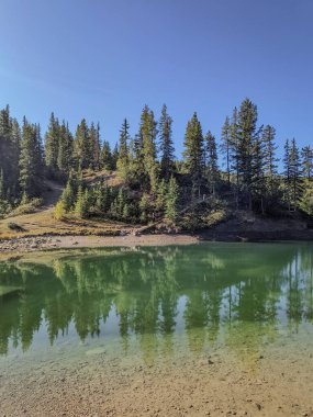 Durgun mavi gökyüzünün altında durgun sulara yansıyan çam ağaçlarıyla çevrili sakin yeşil bir göl..