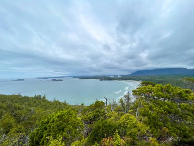 Geniş açılı kıyı manzarası bir ormanı, plajı ve dramatik bulut örtüsünü gözler önüne seriyor. Doğa, seyahat ve macera temaları için mükemmel.
