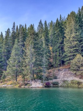 Uzun yeşil çam ağaçları olan ormanlık bir göl manzarası. Temiz su çevredeki manzarayı yansıtır. Toprak bir patika ve tahta korkuluklar yamaç boyunca uzanıyor..