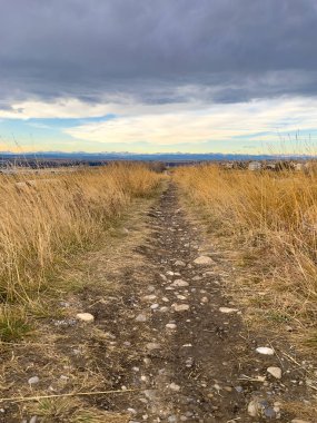Dağılmış kayalarla kaplı engebeli bir toprak yol, bulutlu bir gökyüzünün altındaki uzak dağlara doğru uzanan uzun altın otların arasından geçer. Doğal bir doğa yürüyüş yolu..